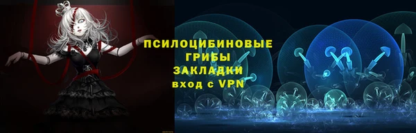 ПСИЛОЦИБИНОВЫЕ ГРИБЫ Мегион
