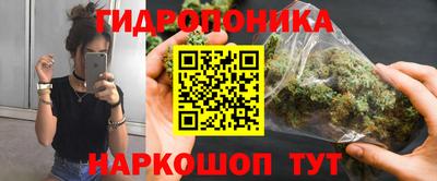 прущие грибы Канаш