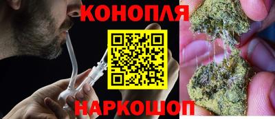 прущие грибы Канаш