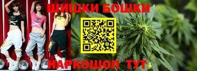 прущие грибы Канаш