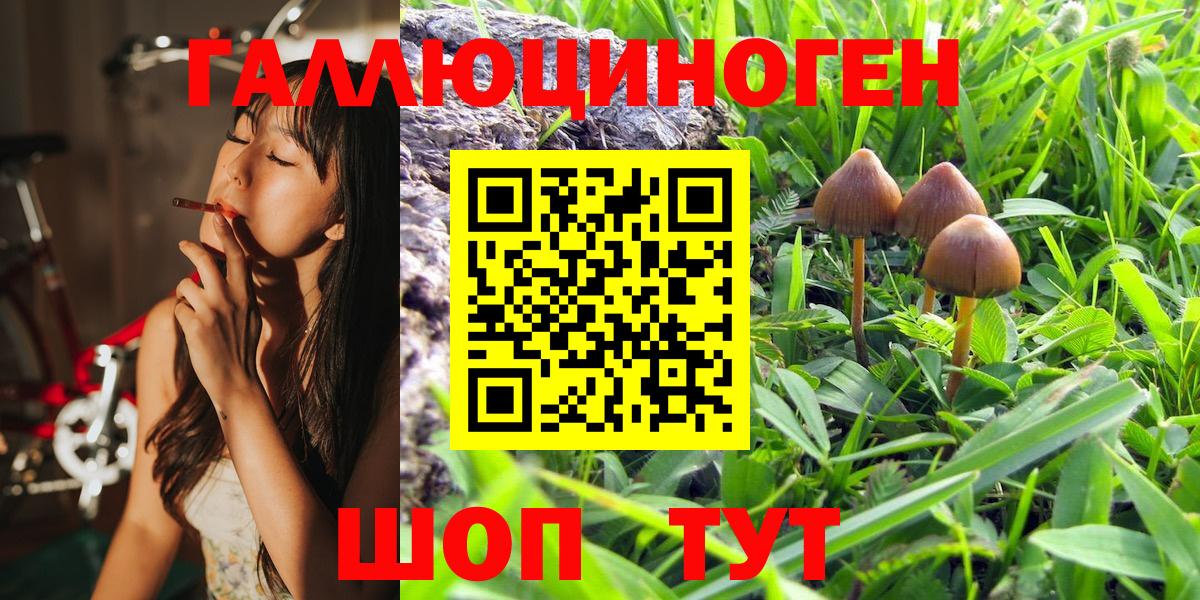 Псилоцибиновые грибы Psilocybine cubensis  наркошоп  Черкесск 